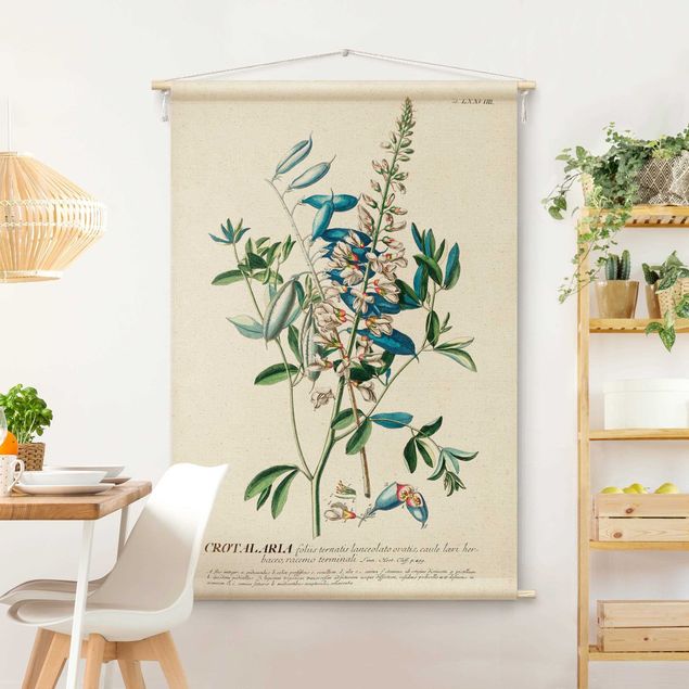 Arazzi da parete moderno Illustrazione botanica vintage di legumi