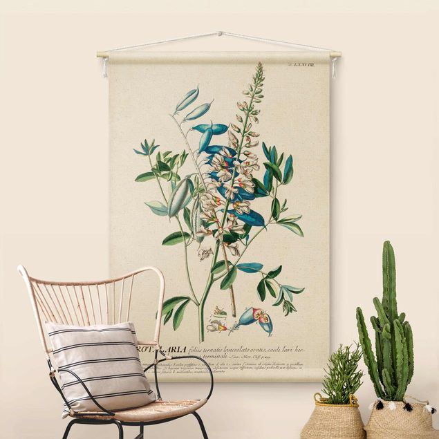 Arazzi da parete xxl Illustrazione botanica vintage di legumi
