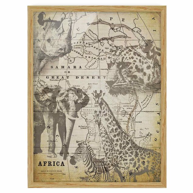 Poster con cornice - Collage vintage - Africa Wildlife