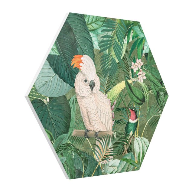 Esagono in forex - Vintage Collage - Cacatua e colibrì