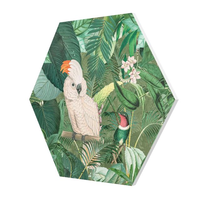 Esagono in forex - Vintage Collage - Cacatua e colibrì