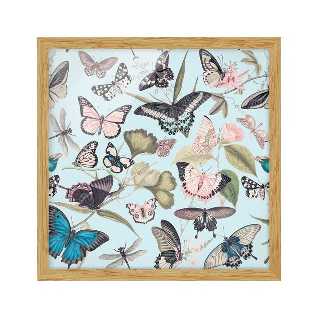 Poster con cornice - Vintage Collage - Farfalle e libellule