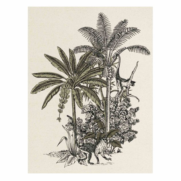 Riproduzione quadri su tela Illustrazione vintage - Scimmie e palme