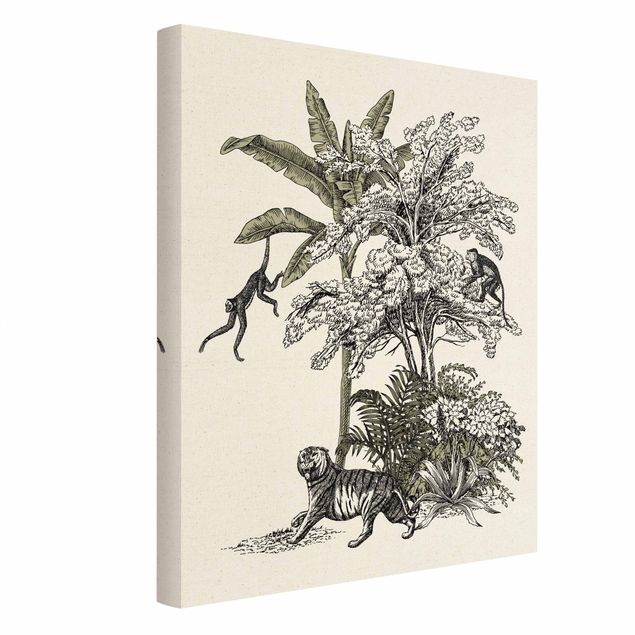 Quadri su tela Illustrazione vintage - Scimmie arrampicatrici