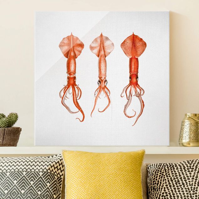 Quadri animali Illustrazione vintage di un calamaro rosso