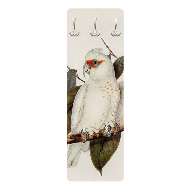 Appendiabiti - Illustrazione Vintage White Cockatoo