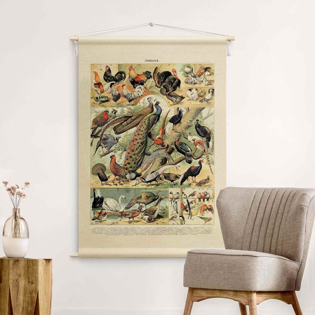 Arazzi da parete vintage Tavola didattica vintage uccelli europei