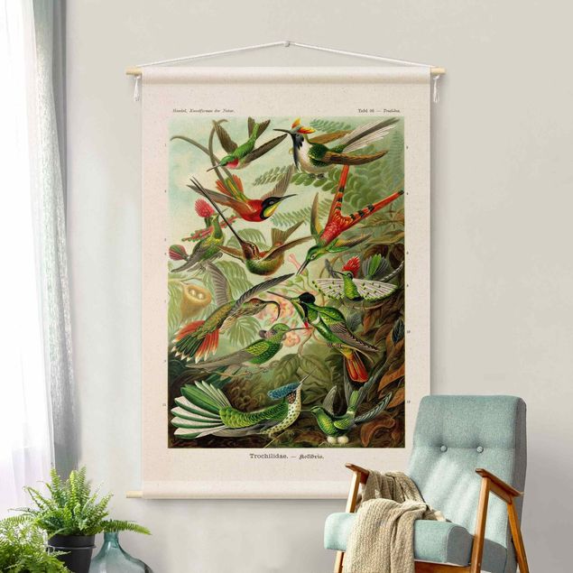 Arazzi da parete xxl Tavola didattica vintage colibrì