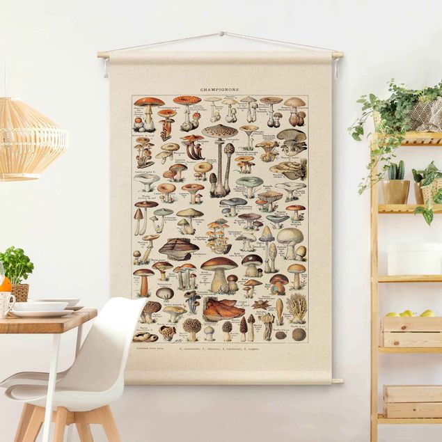 Arazzi da parete moderno Tavola didattica vintage funghi