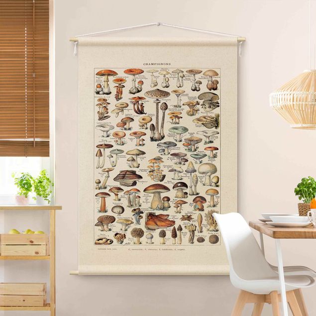 Arazzi da parete xxl Tavola didattica vintage funghi