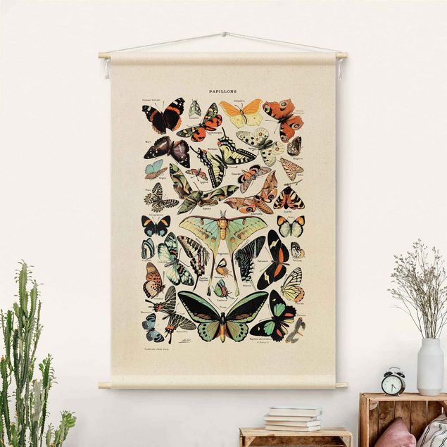 Arazzi da parete moderno Tavola didattica vintage farfalle e lepidotteri