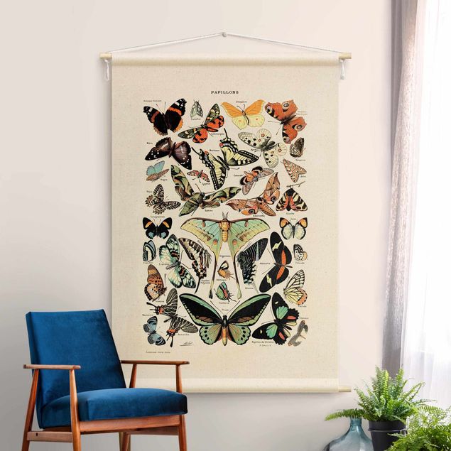 Arazzi da parete xxl Tavola didattica vintage farfalle e lepidotteri