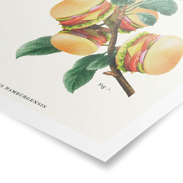 Poster riproduzione - Pianta vintage - Hamburger - 1:1