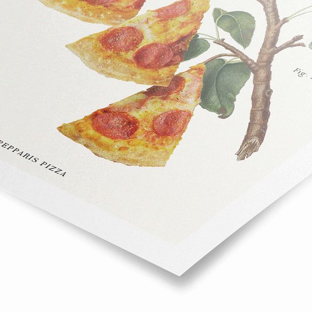 Poster riproduzione - Pianta vintage - Pizza - 1:1