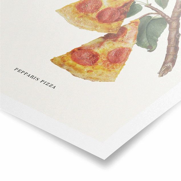 Poster riproduzione - Pianta vintage - Pizza - 2:3
