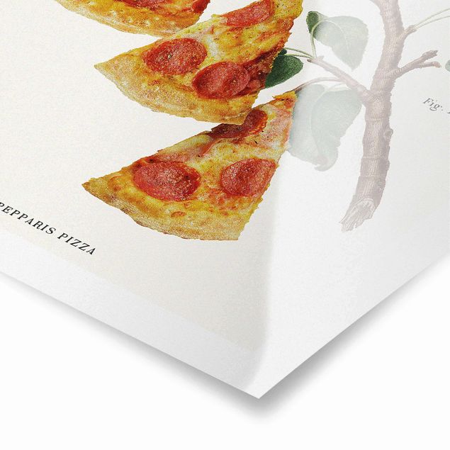 Poster riproduzione - Pianta vintage - Pizza - 1:1