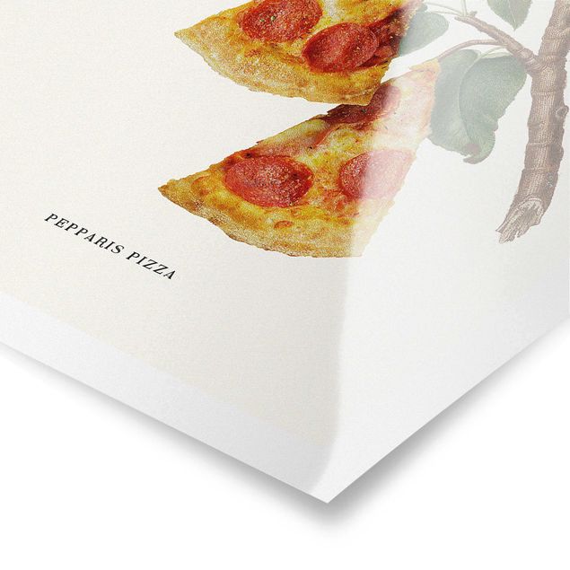 Poster riproduzione - Pianta vintage - Pizza - 2:3