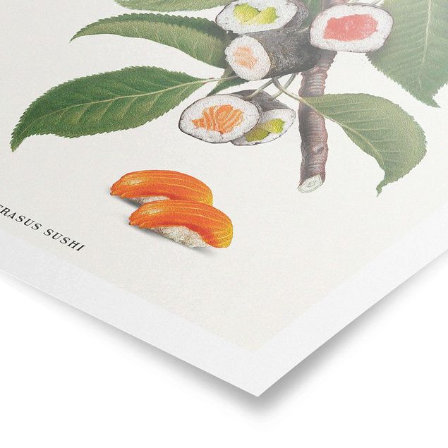 Poster riproduzione - Pianta vintage - Sushi - 1:1