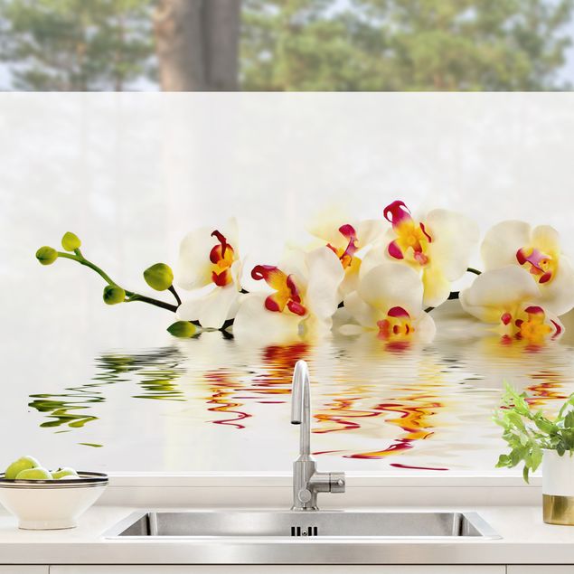 Pellicola per vetri con erbe Vivid Orchid Waters