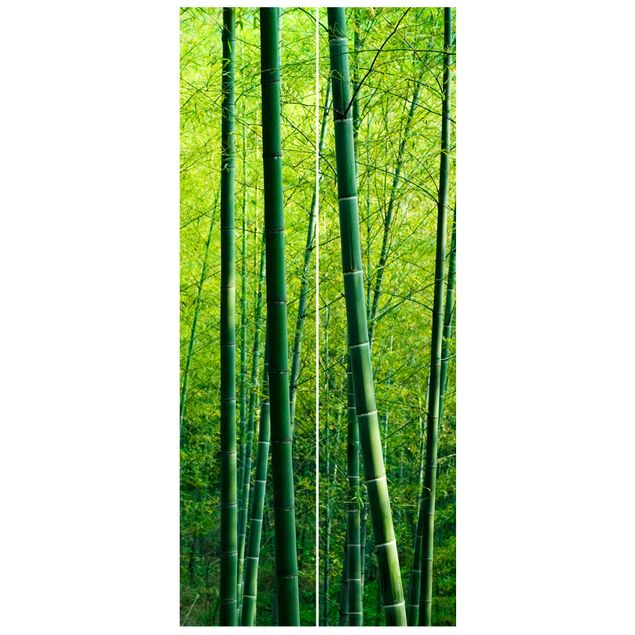 Carta da parati per porte - Foresta di bambù