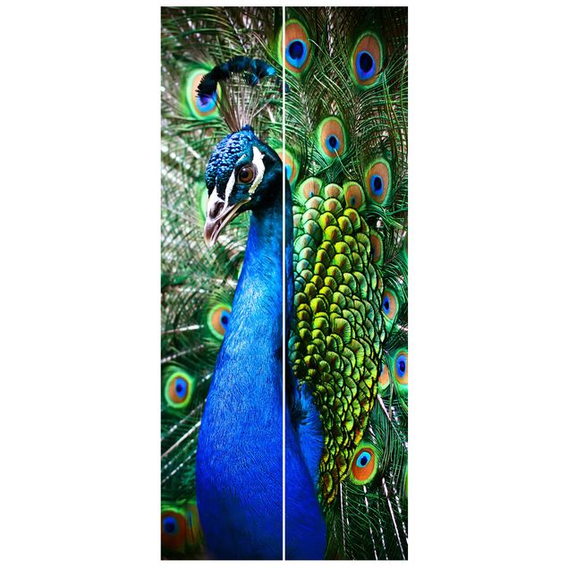 Carta da parati per porte - Noble Peacock