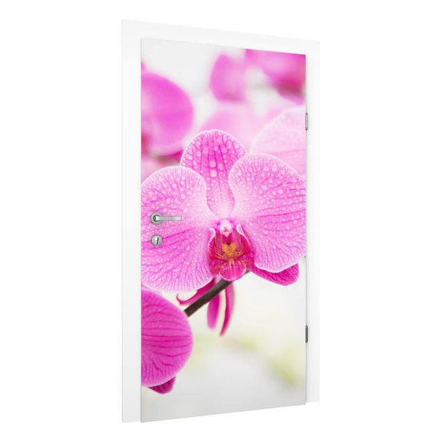 Carta da parati per porte - Close up orchid