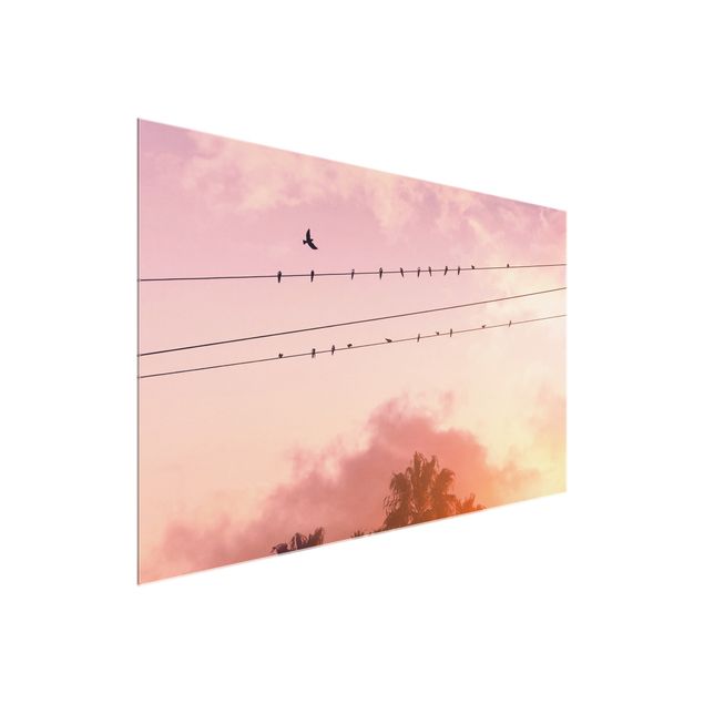 Quadro in vetro - Uccellini sulla linea elettrica - Orizzontale 3:2