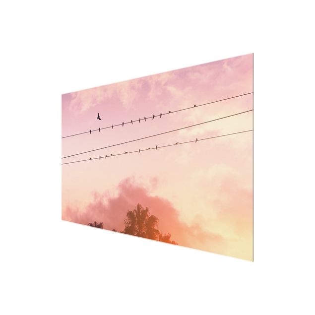 Quadro in vetro - Uccellini sulla linea elettrica - Orizzontale 3:2