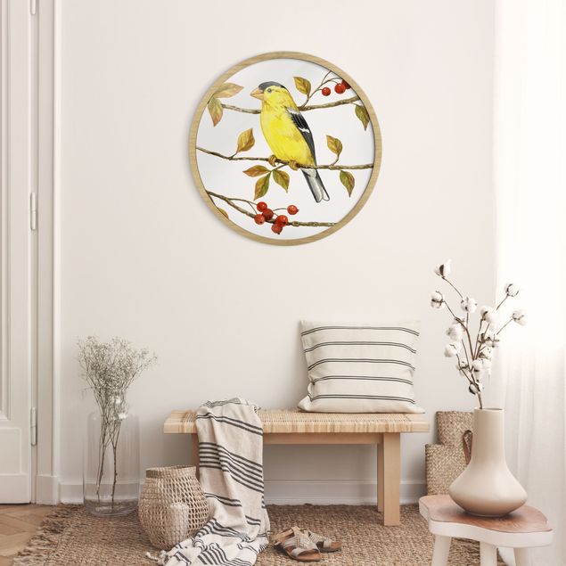 Poster con cornice rotonda Uccelli e bacche - Cardellino americano