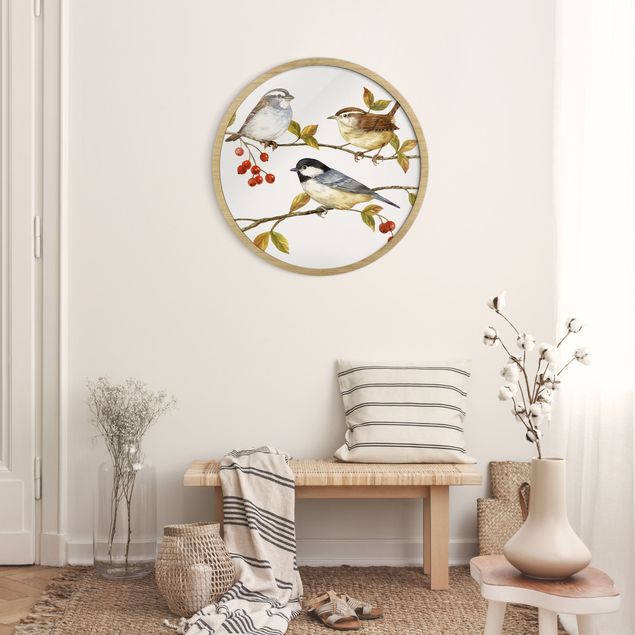 Poster con cornice rotonda Uccelli e bacche - Cinciallegra