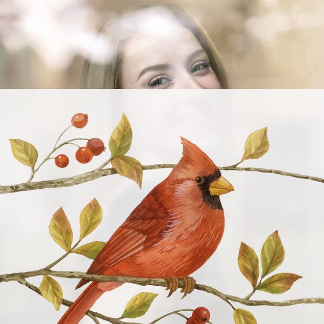 Pellicola per vetri con uccelli Uccellini e bacche - Cardinale rosso