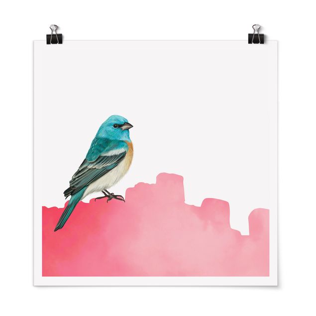Poster - Uccellino su rosa