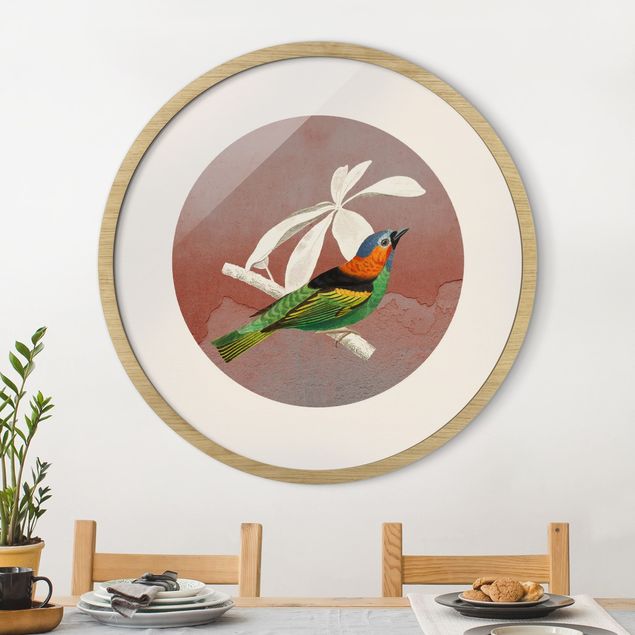 quadri con animali Collage di uccelli in un cerchio ll