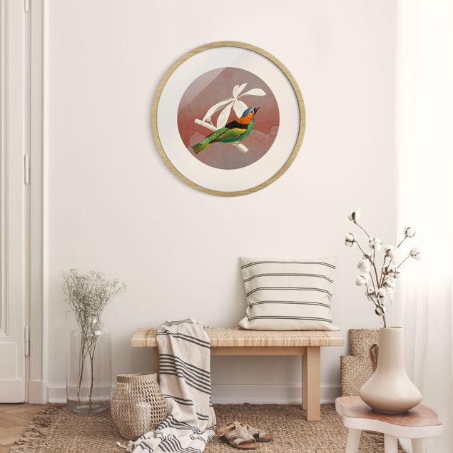 Poster con cornice rotonda Collage di uccelli in un cerchio ll