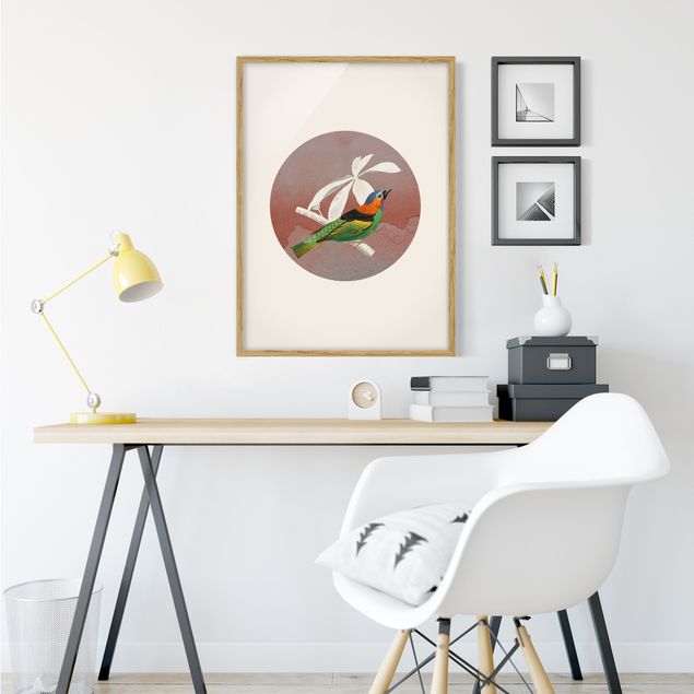 Poster con cornice - Collage di uccellini in cerchio II