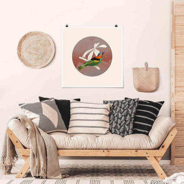 Poster illustrazioni Collage di uccelli in un cerchio ll