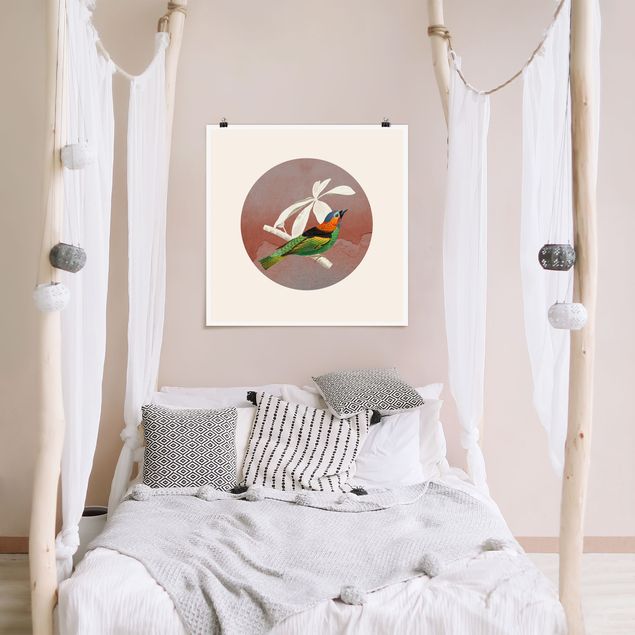 Poster acquerello Collage di uccelli in un cerchio ll