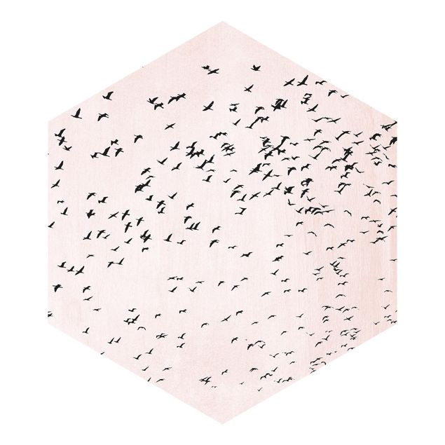 Carta da parati esagonale adesiva con disegni - Stormo di uccelli al tramonto