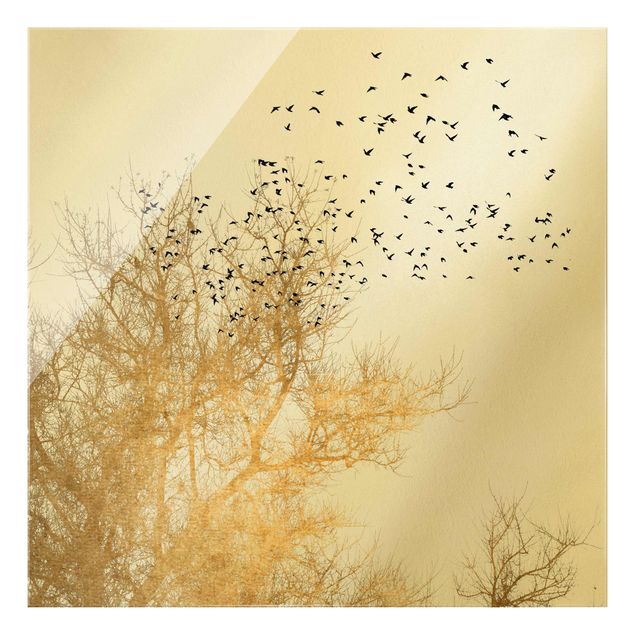 Quadro in vetro - Stormo di uccelli davanti ad un albero dorato - Quadrato 1:1