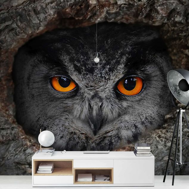 Carta da parati - Watching owl