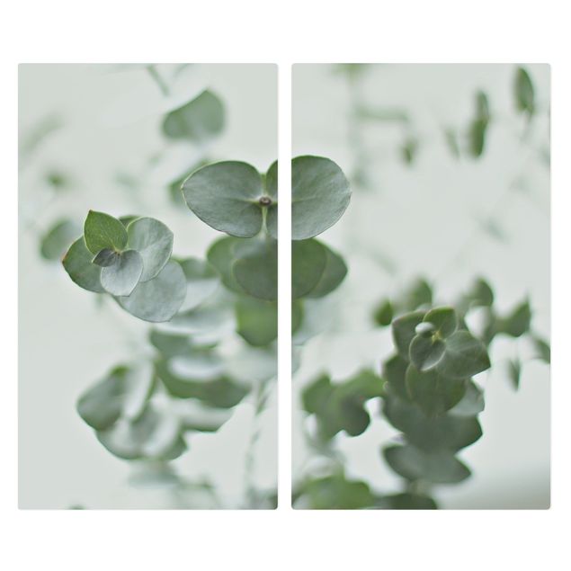 Coprifornelli - Crescita di ramo di eucalipto