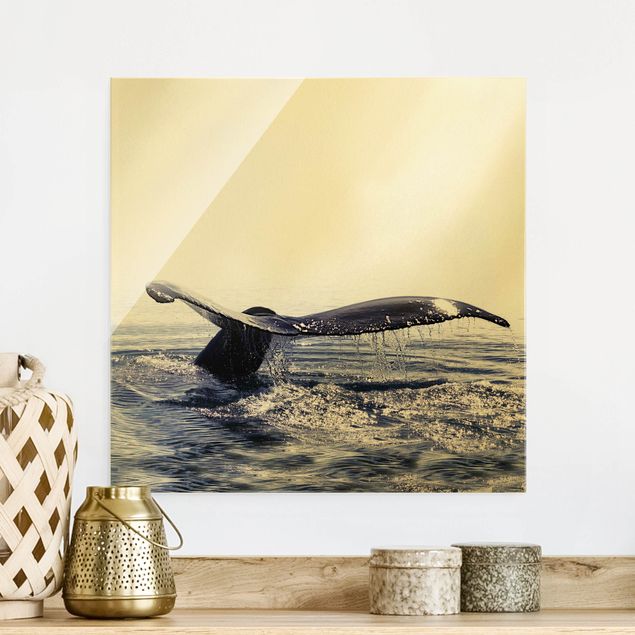stampe animali Canto di balena in Islanda