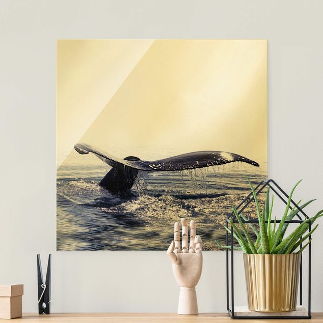Lavagna magnetica in vetro Canto di balena in Islanda