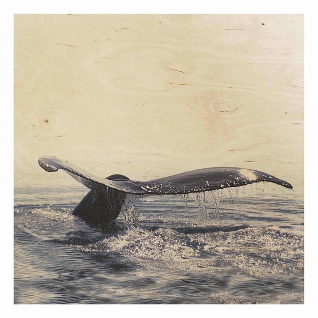 Stampa su legno - Canto delle balene in Islanda