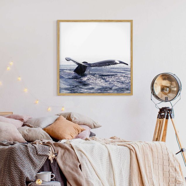 Poster con cornice - Canto delle balene in Islanda