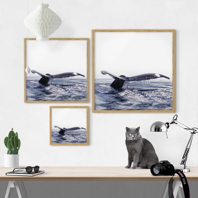 Poster con cornice - Canto delle balene in Islanda