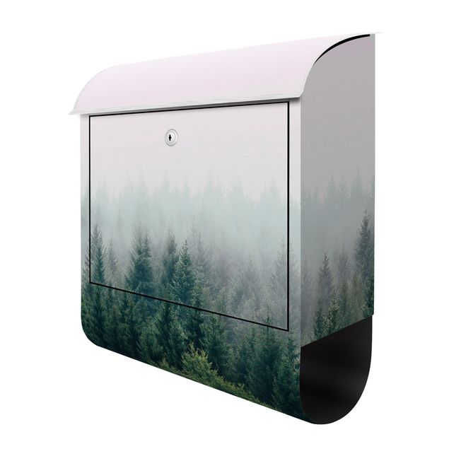 Cassetta postale - Foresta nella nebbia del crepuscolo