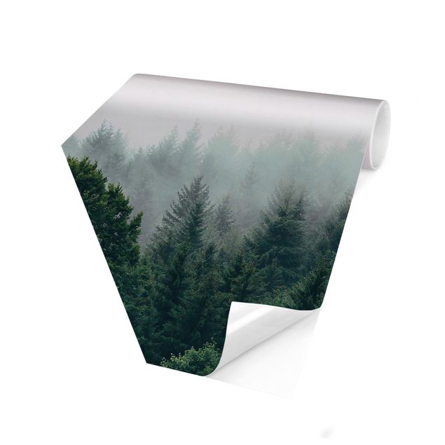 Carta da parati esagonale adesiva con disegni - Foresta nella nebbia del crepuscolo