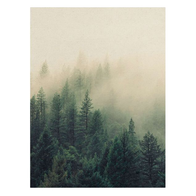 Quadri su tela Risveglio della foresta nebbiosa
