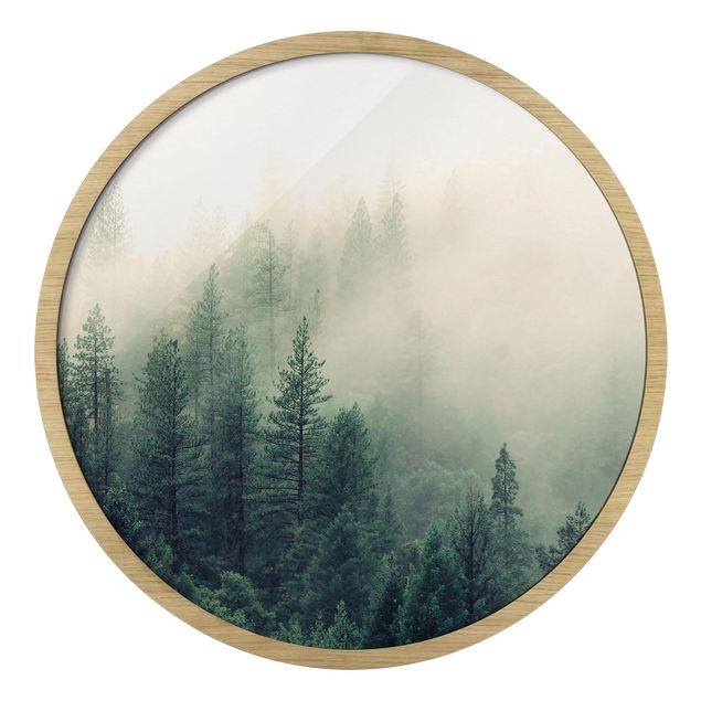 Quadro rotondo incorniciato - Foresta nebbiosa al risveglio